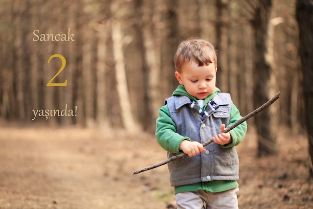 Sancak 2yearsaold