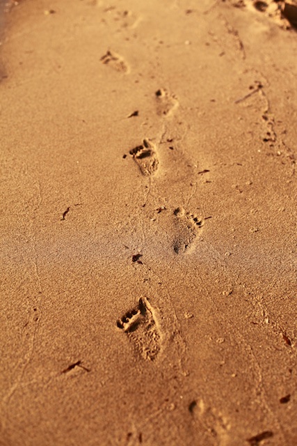 footprintsonthesand